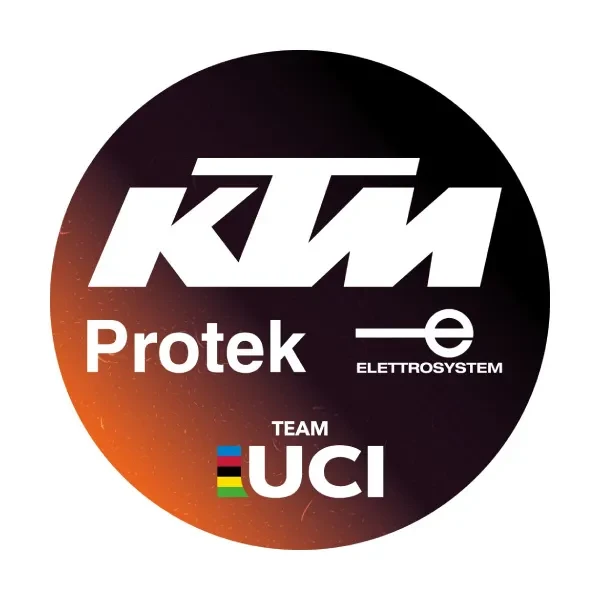 KTM Protek Elettrosystem logo