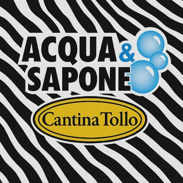 Acqua & Sapone logo