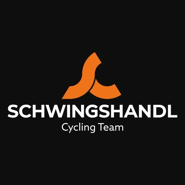 Schwingshandl Intralogistics logo