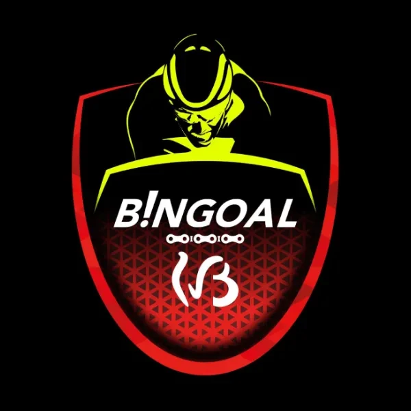 Bingoal WB logo