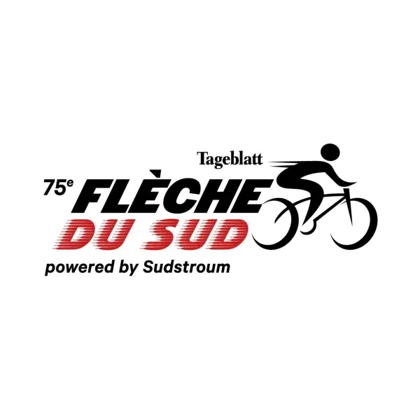 Flèche du Sud logo