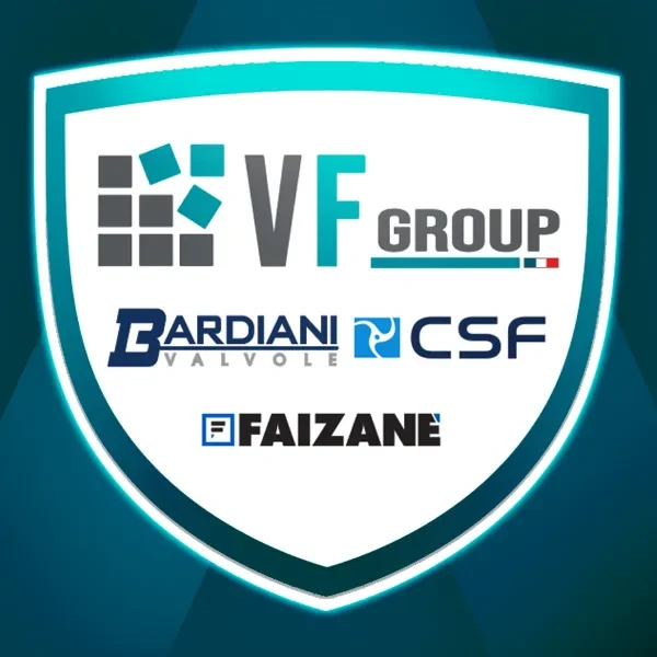 VF Group-Bardiani CSF-Faizanè logo