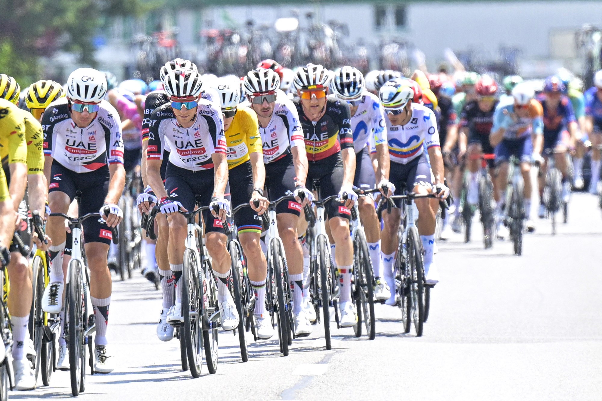 UAE Team Emirates riders leading peloton at Tour de Suisse stage 3 in Bad Ragaz