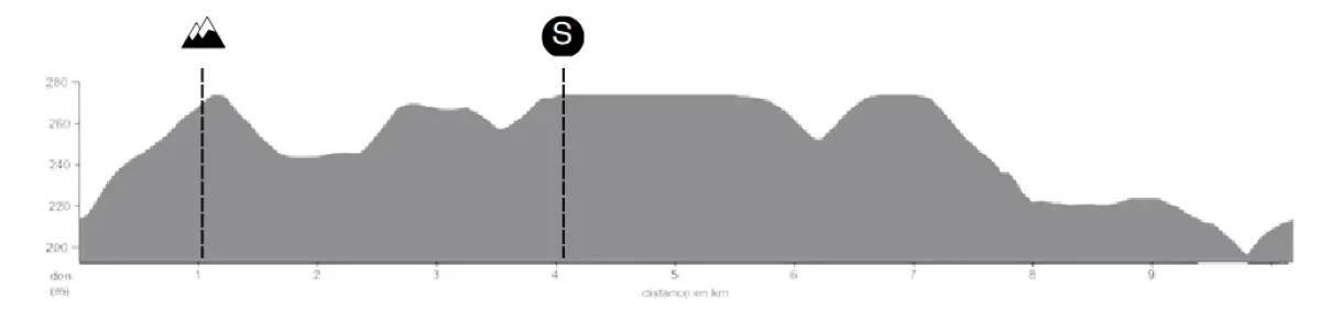 Height Profile