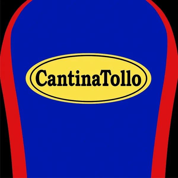 Cantina Tollo - Regain logo