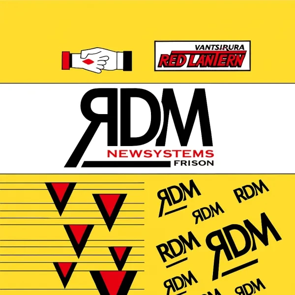 RDM - New Systems logo