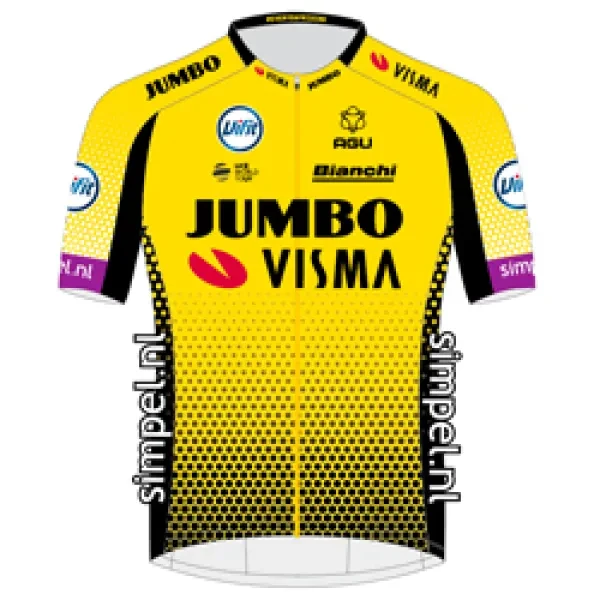 Team Jumbo - Visma logo