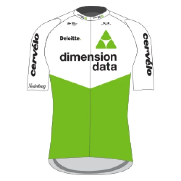 Team Dimension Data logo