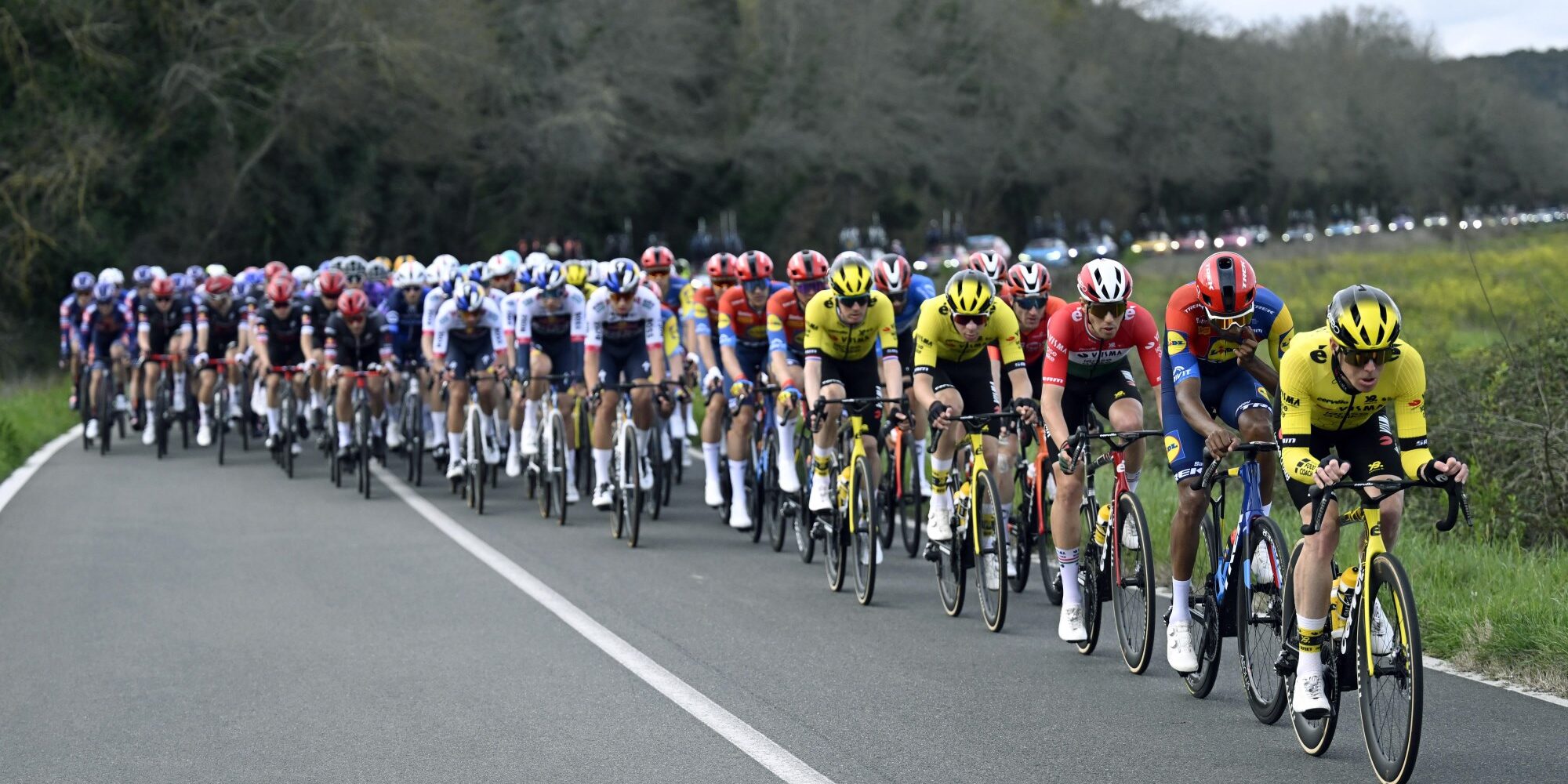 Steven Kruijswijk leads peloton in yellow-black Visma jersey during Tirreno-Adriatico stage