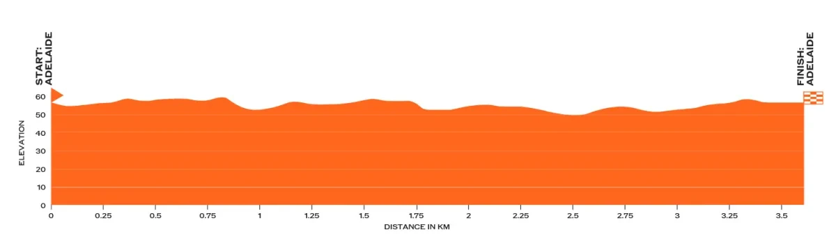 Height Profile