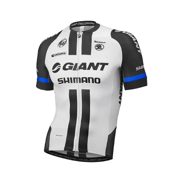 Team Giant - Shimano logo