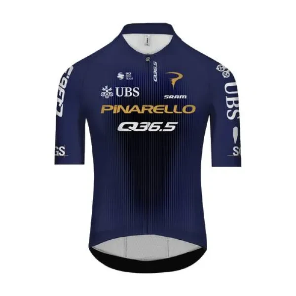 Pinarello - Q36.5 Pro Cycling Team logo