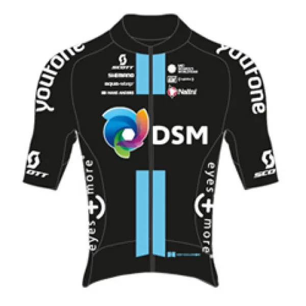Team DSM logo