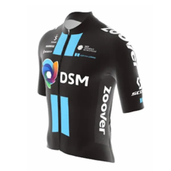 Team DSM logo
