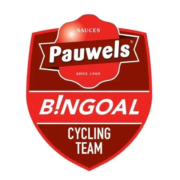 Pauwels Sauzen - Bingoal logo